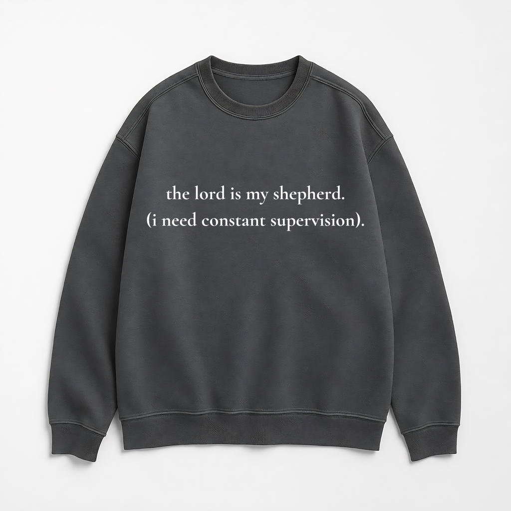 The Lord Is My Shepherd Funny Christian Sweatshirt